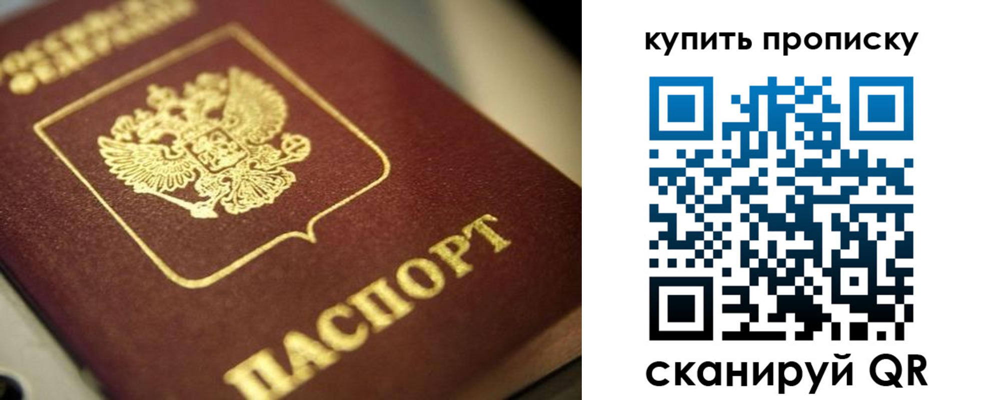 прописка поиск в Альметьевске